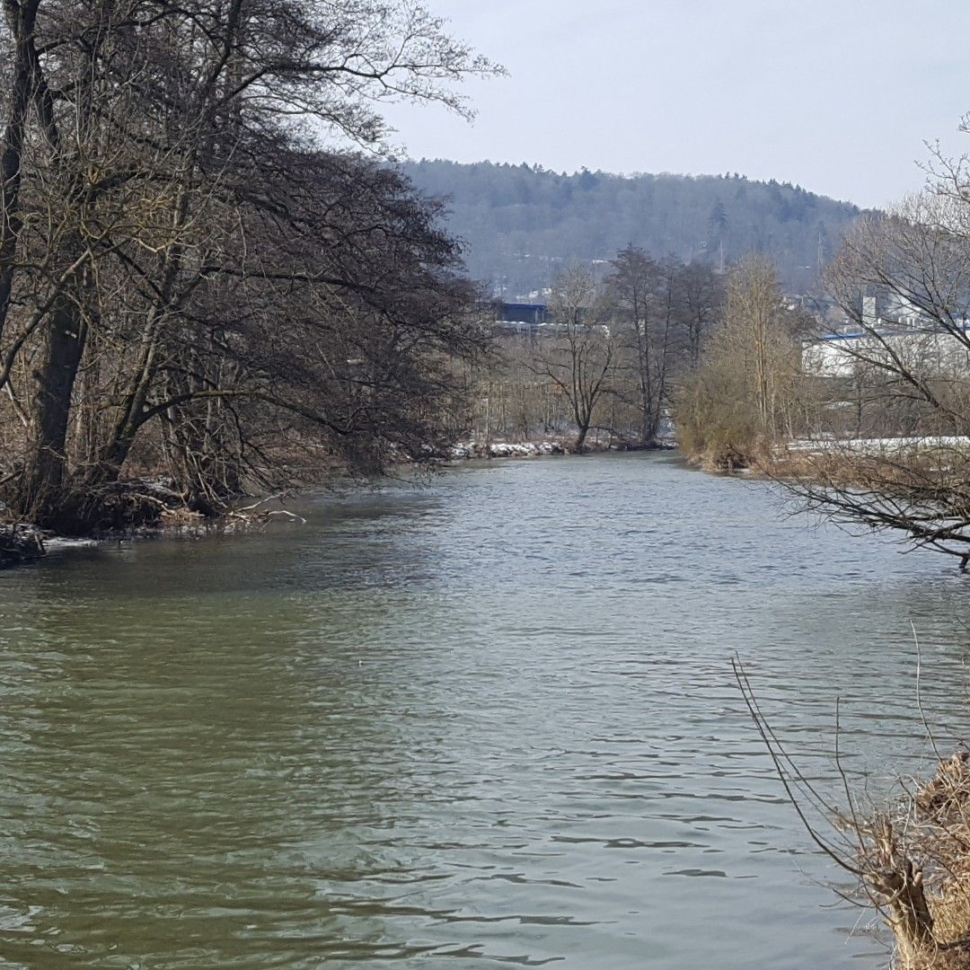 Altmühl (Pappenheim) angeln