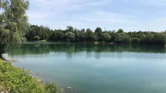 Röser Weiher (Mülheim-Kärlich)