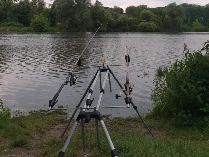 Donau (Windorf)