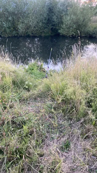 Moorteich Damme
