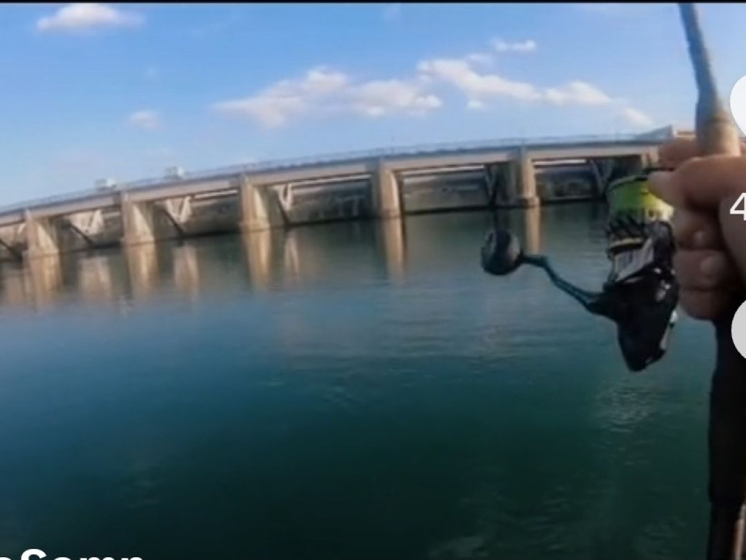 Canal du Rhône au Rhin (Marckolsheim) angeln