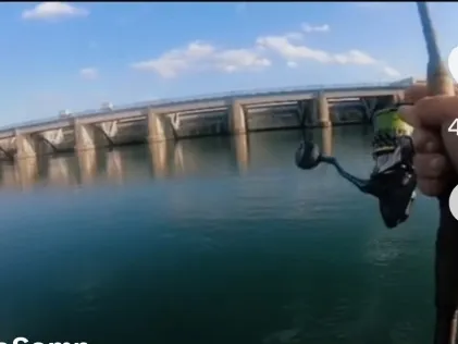 Canal du Rhône au Rhin (Marckolsheim)
