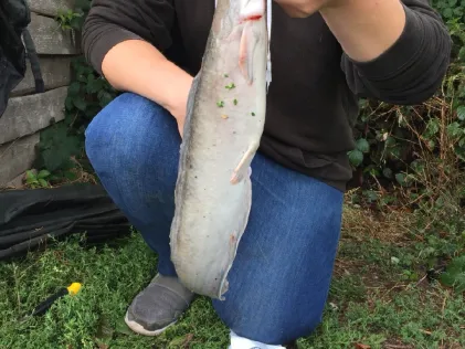 Fischteiche Ahlen