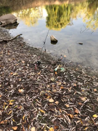 Ihlenpool