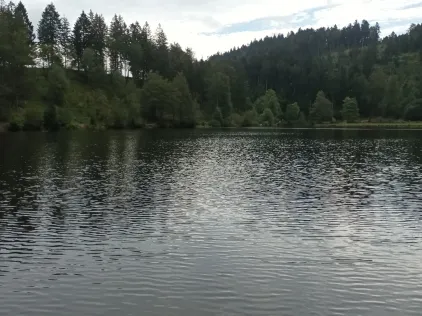 Nonnenmattweiher