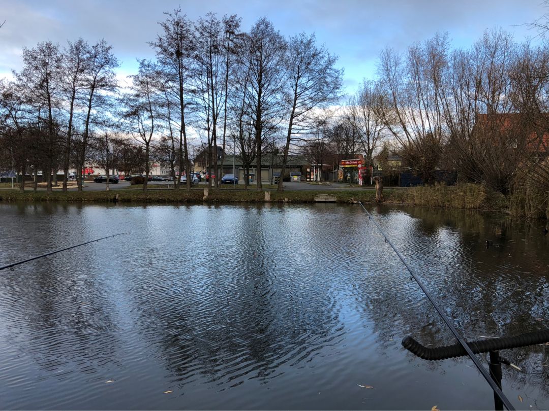 Unterer Henneteich angeln