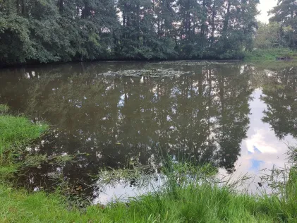 Dorfteich Reesdorf