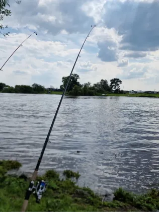 Weser (Bollen)