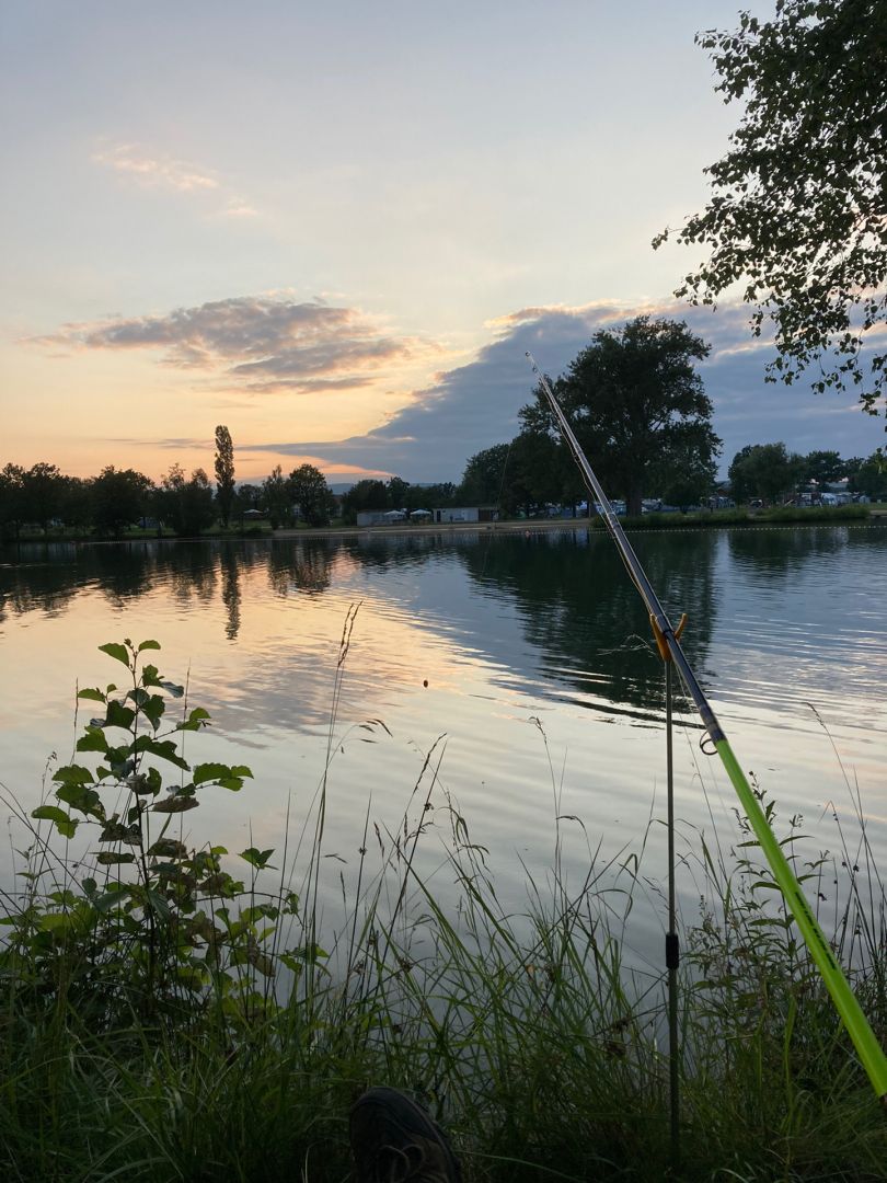 Neuenhainer See angeln