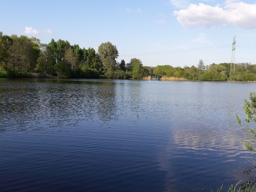 Bokeler Baggersee angeln