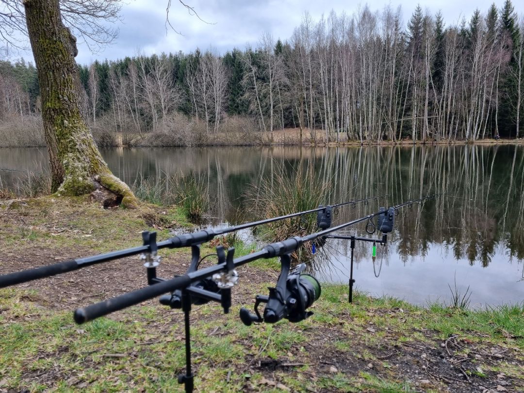 Eulenteich (Rodewisch) angeln