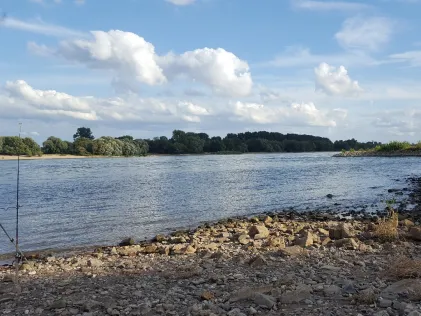 Rhein (Neuss)