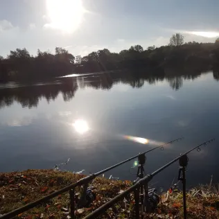 Hohenforster See