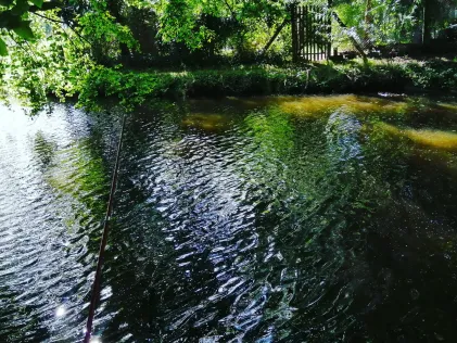 Toter Helmearm Roßla