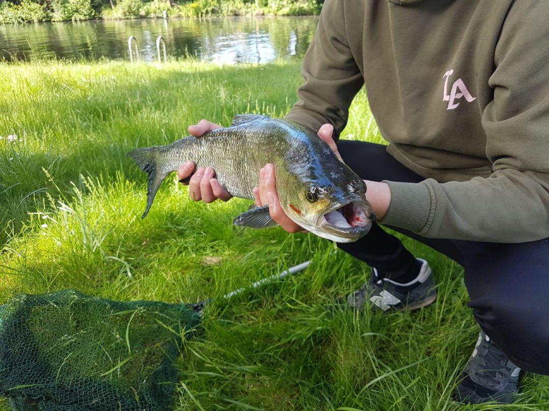 Löcknitz (Erkner) angeln