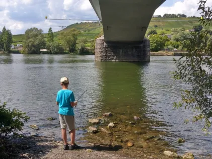 Mosel (Zell)