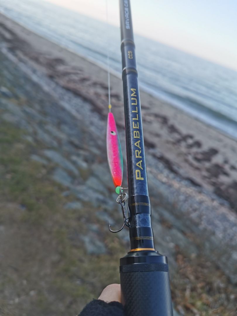 Ostsee (Weißenhäuser Strand) angeln