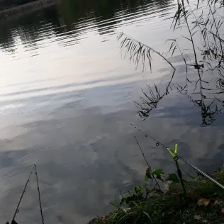 Knieperteich (Stralsund)