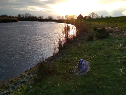 Stör (Wilster)