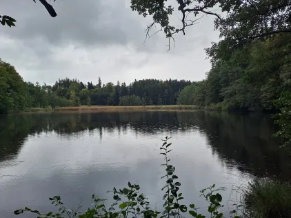 Jägerweiher (Neukirch)