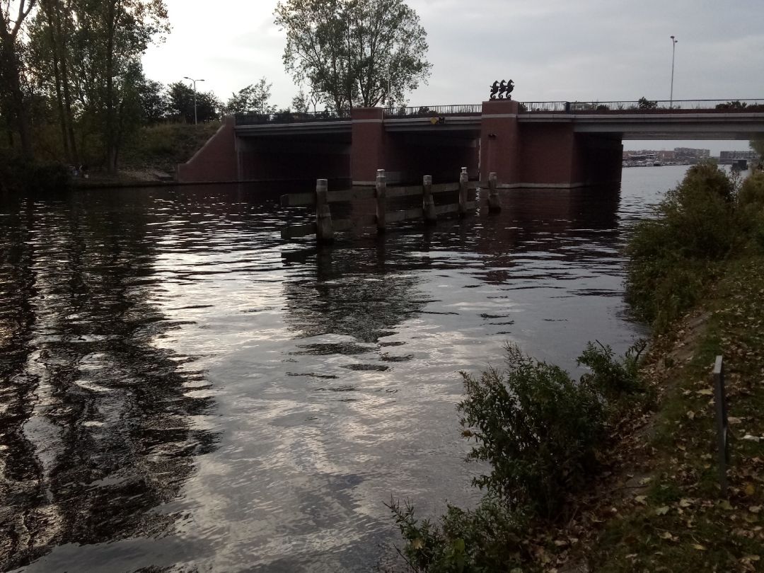 Uiwateringskanaal (Katwijk) angeln