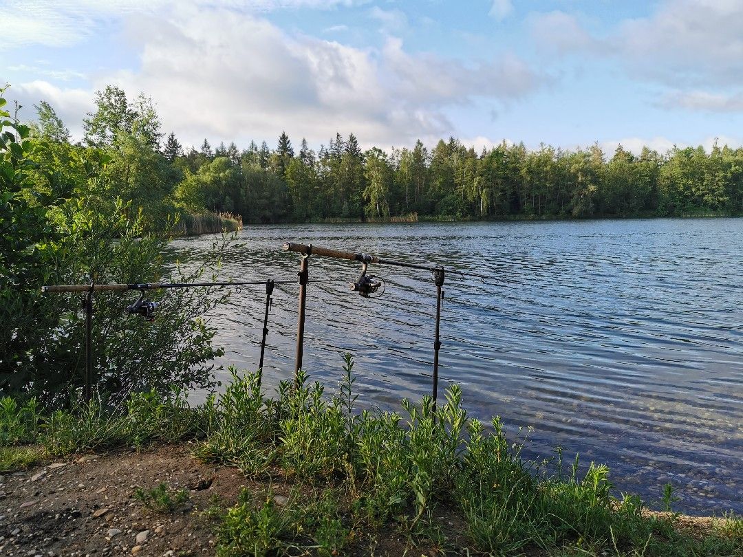 Angeln in Köfering