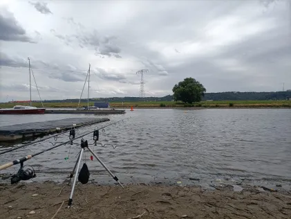 Elbe (Radebeul)
