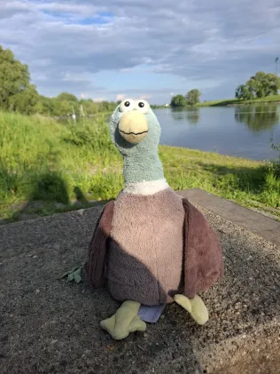 Elbe (Radebeul)