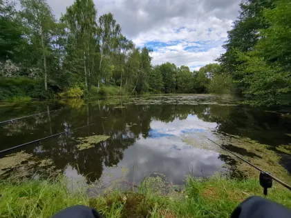 Rosenhagener Teiche (Erxleben)