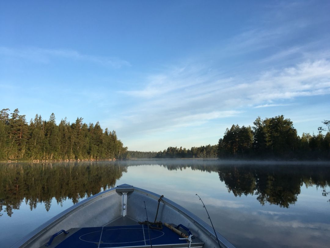 Yttre Arasjön angeln