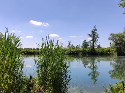 Allershausener Weiher (KFV Freising)