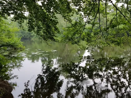 Heisinger Becken