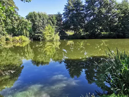 Mittelteich (Neugersdorf)