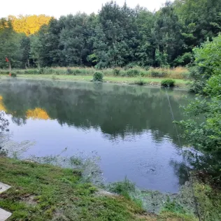 Hemsbach See