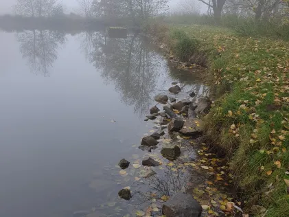 Marköbel