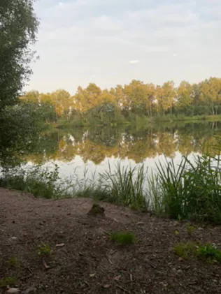 Krelinger See 