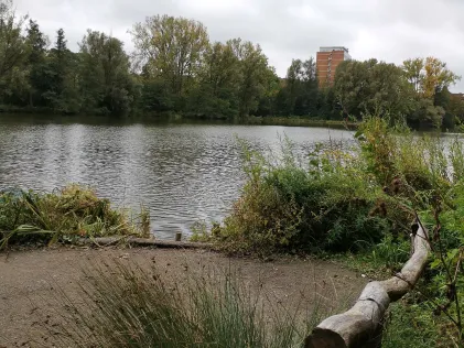 Annateich (Hannover)