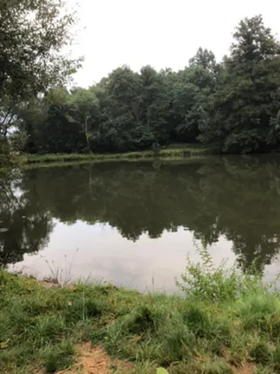 Weinbergteiche (Abtsdorf)