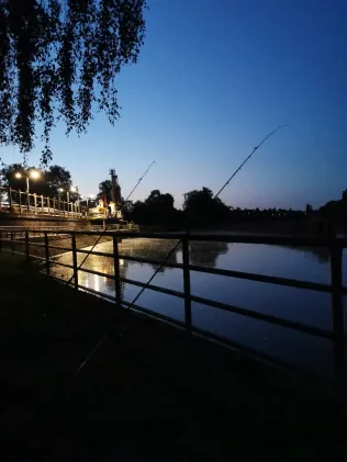 Main (Bischofsheim-Fechenheim)