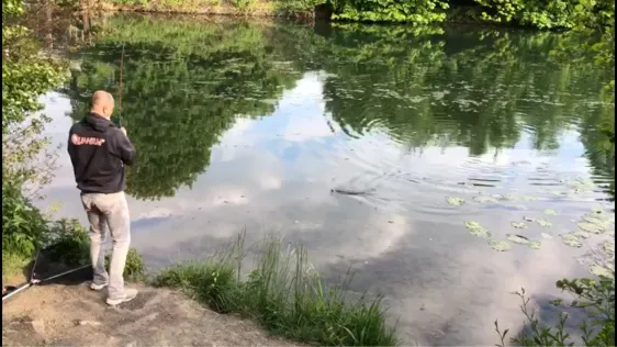 Lippe (Heessen)