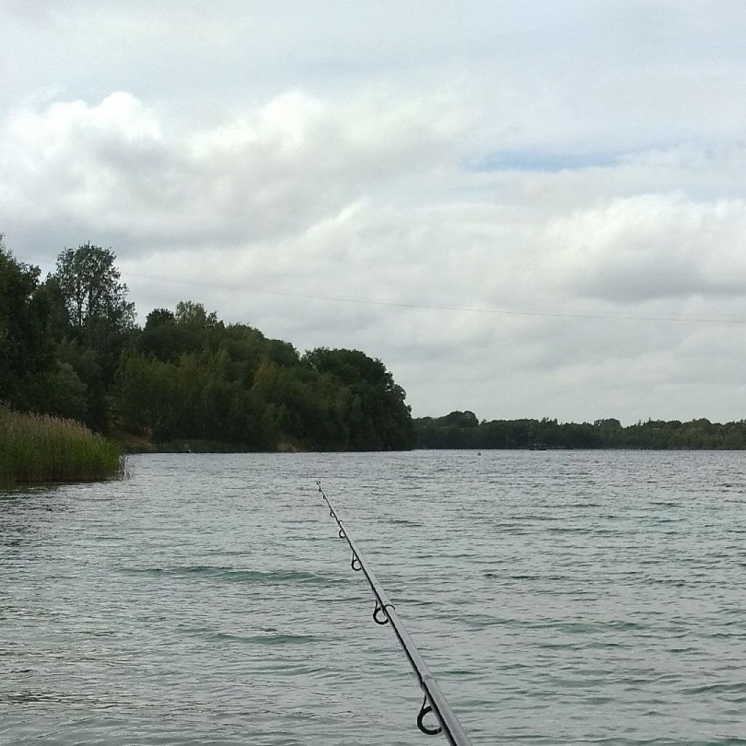 Kreidesee (Hemmoor) angeln