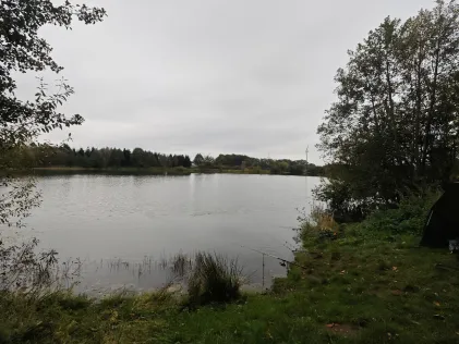 Kiekutsee