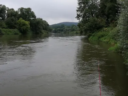 Donau (Altisheim-Leitheim)