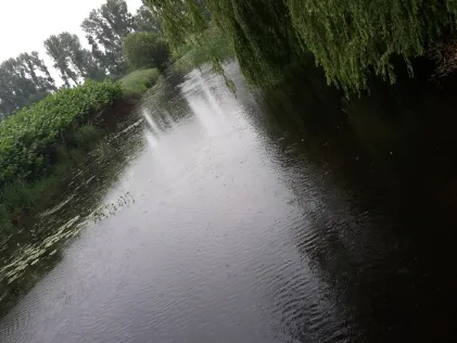 Rhinkanal (Fehrbellin)