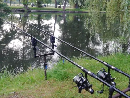 Spree (Leibsch)