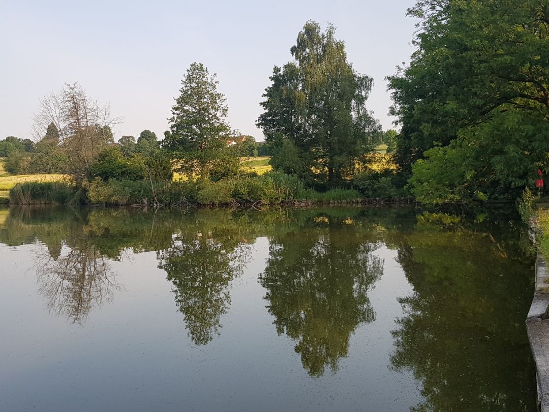 Angeln in Mittelbiberach