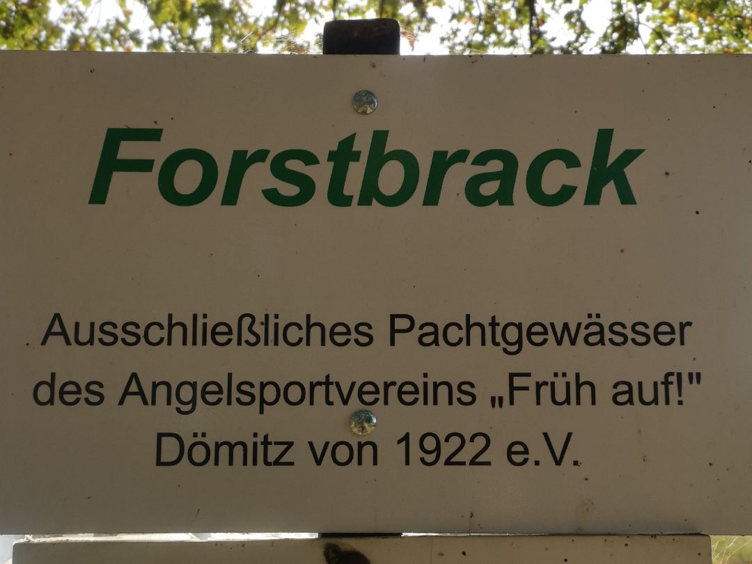 Forstbrack (Dömitz) angeln