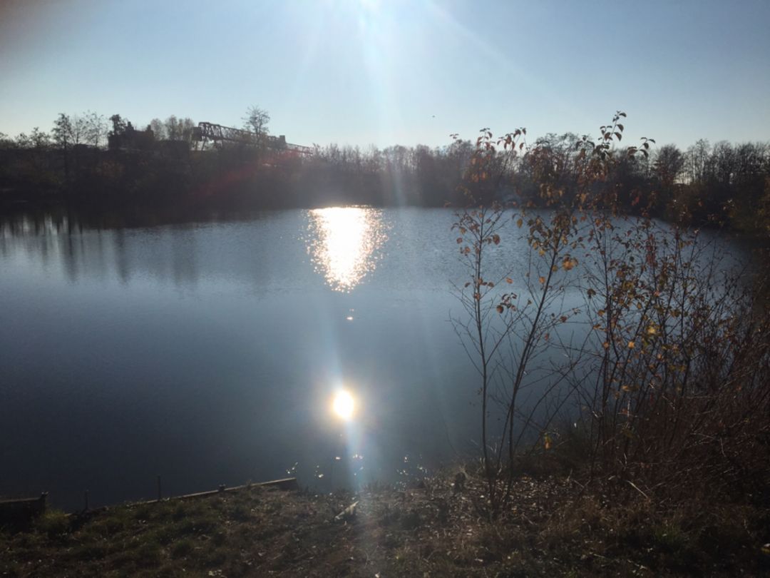 Vereinssee ASV Bobenheim angeln