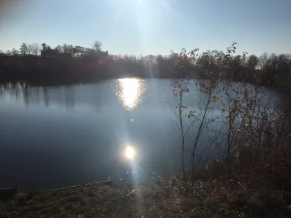 Vereinssee ASV Bobenheim