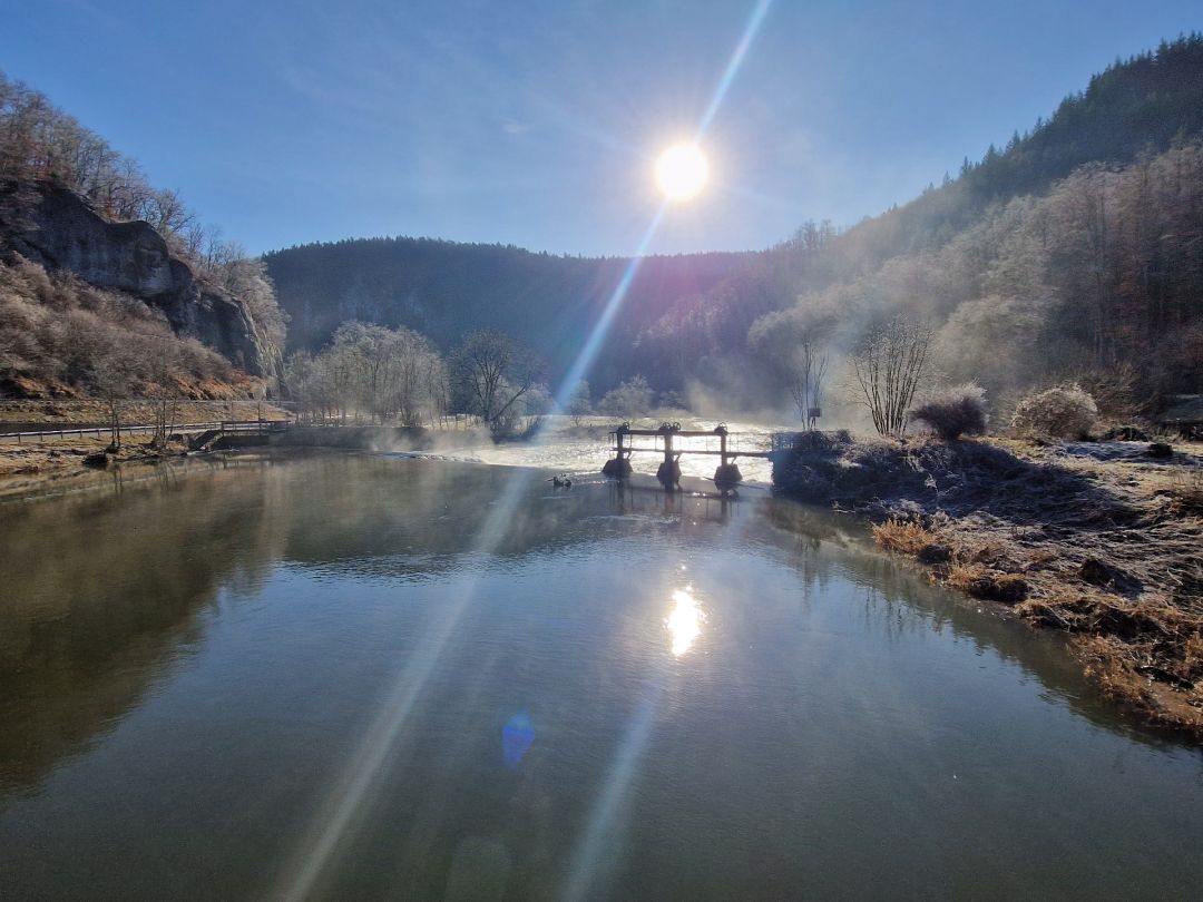 Angeln in Fridingen an der Donau